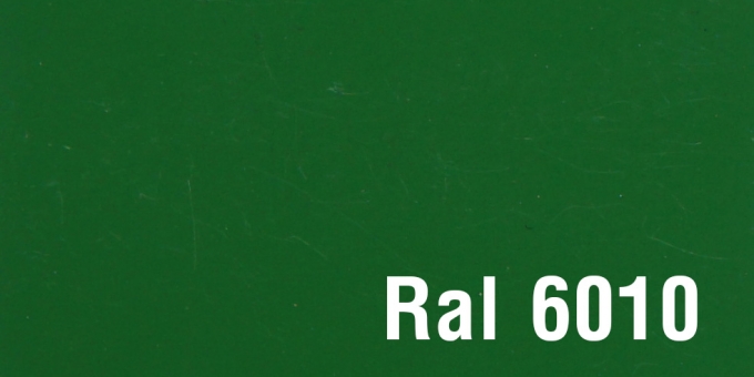 Ral 6010